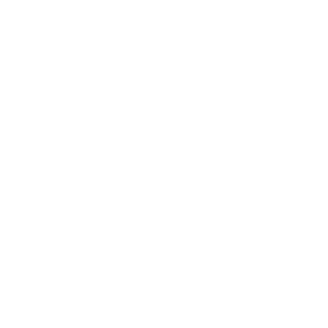 website icon