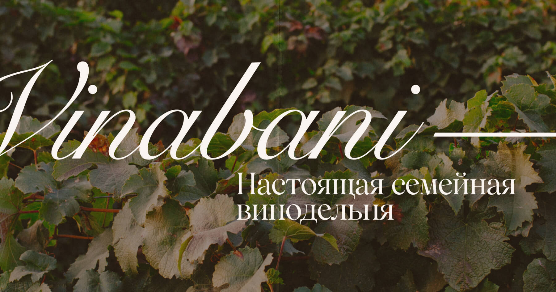 VINABANI – Настоящая семейная винодельня