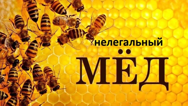 Нелегальный ьёд