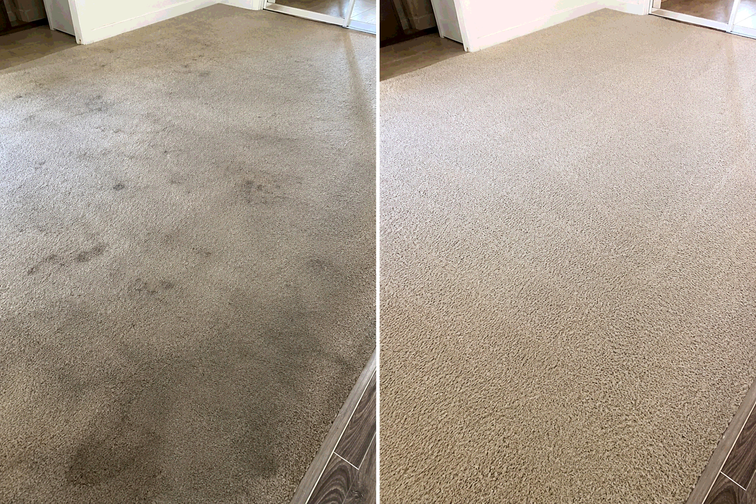 Rug cleaning result — Miami-Dade