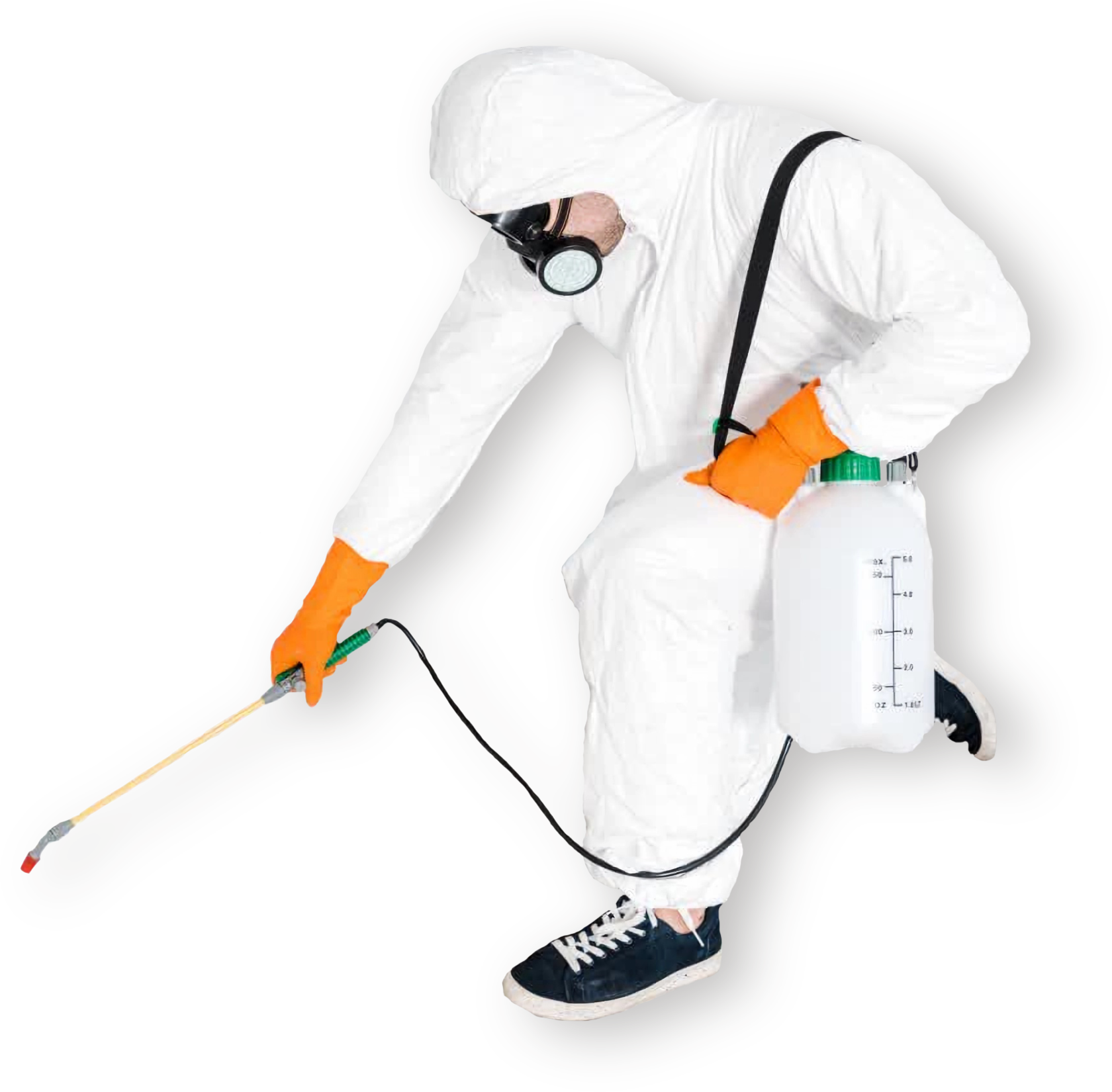 Уничтожение любых насекомых и грызунов в Москве