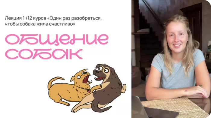 Общение собак
