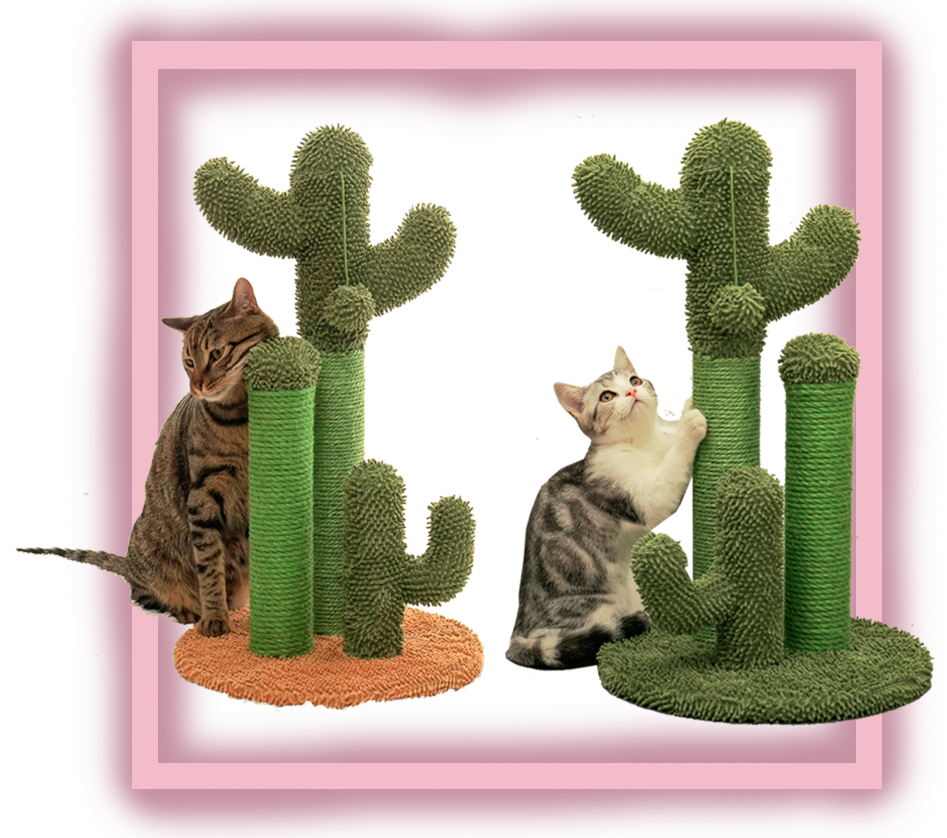 купить когтеточки комплексы для собаки кошки zoo monster