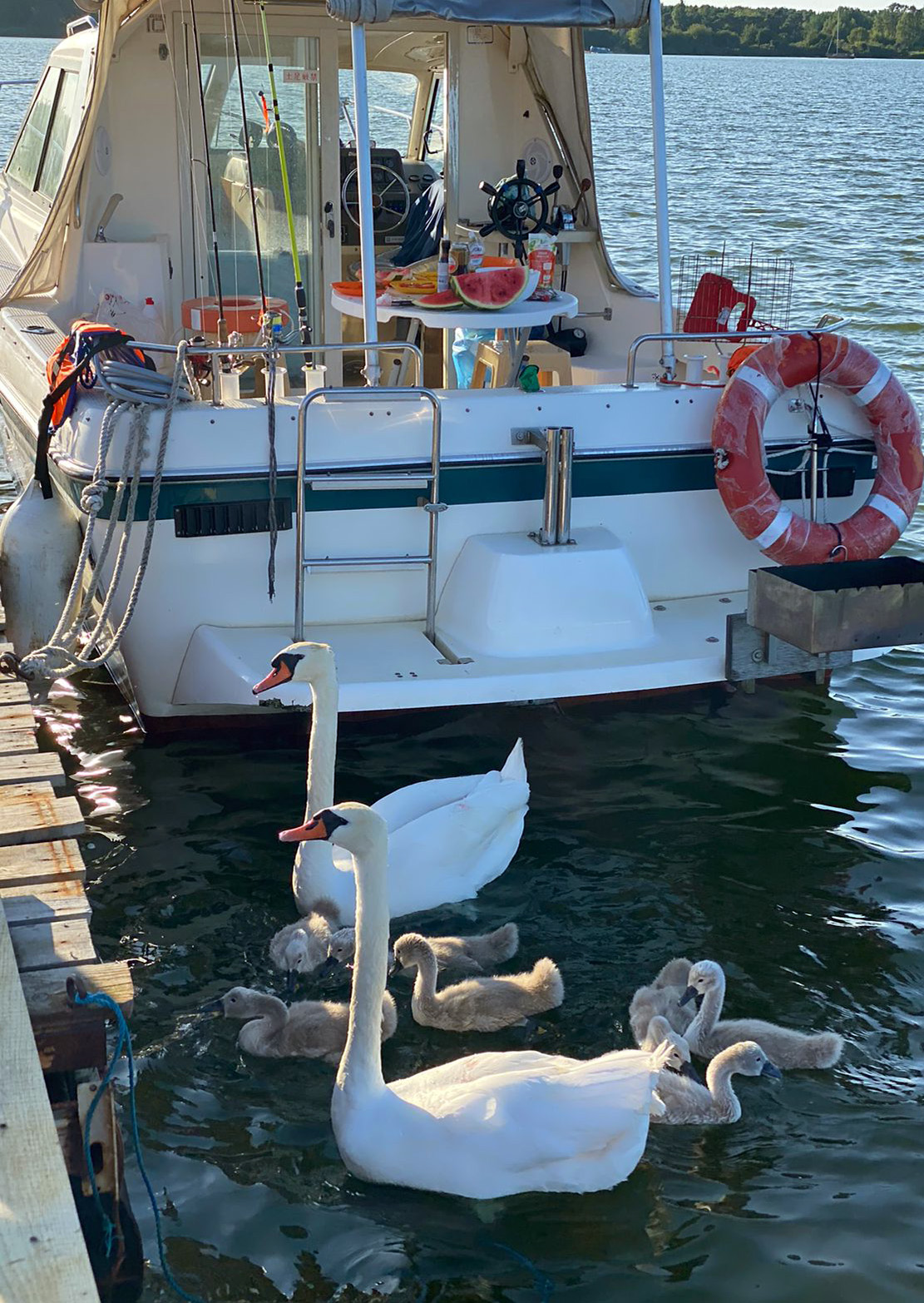 фотография территории отеля