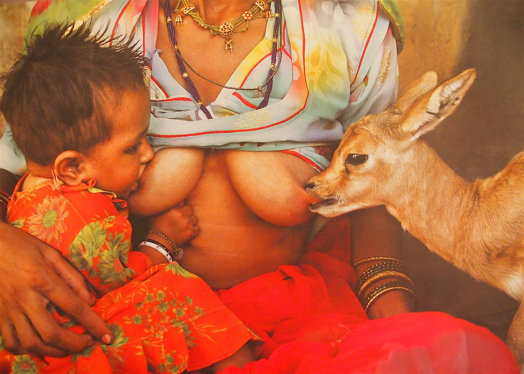 Animal breast feeding porn
