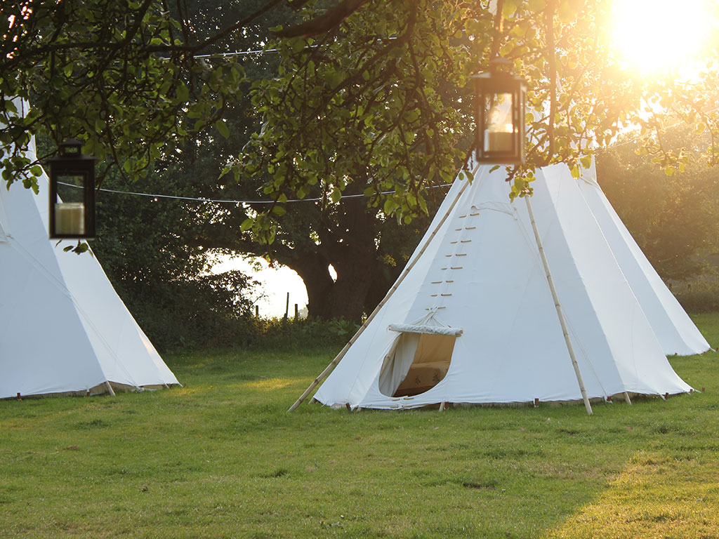 Р“Р»СЌРјРїРёРЅРі Tipi Camp