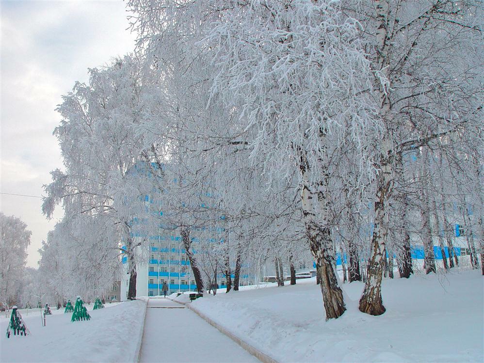 Курорт красноярское загорье