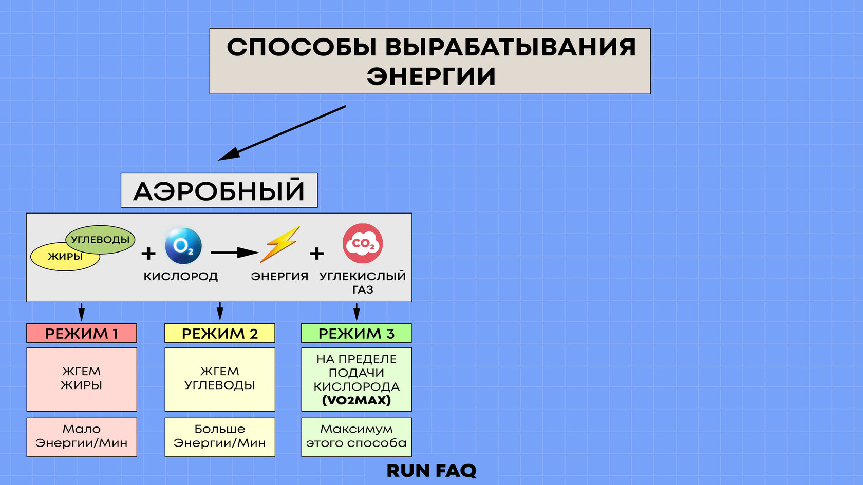 Выработка энергии человеком