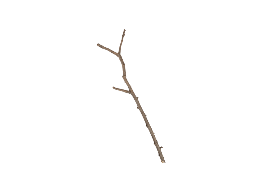 stick