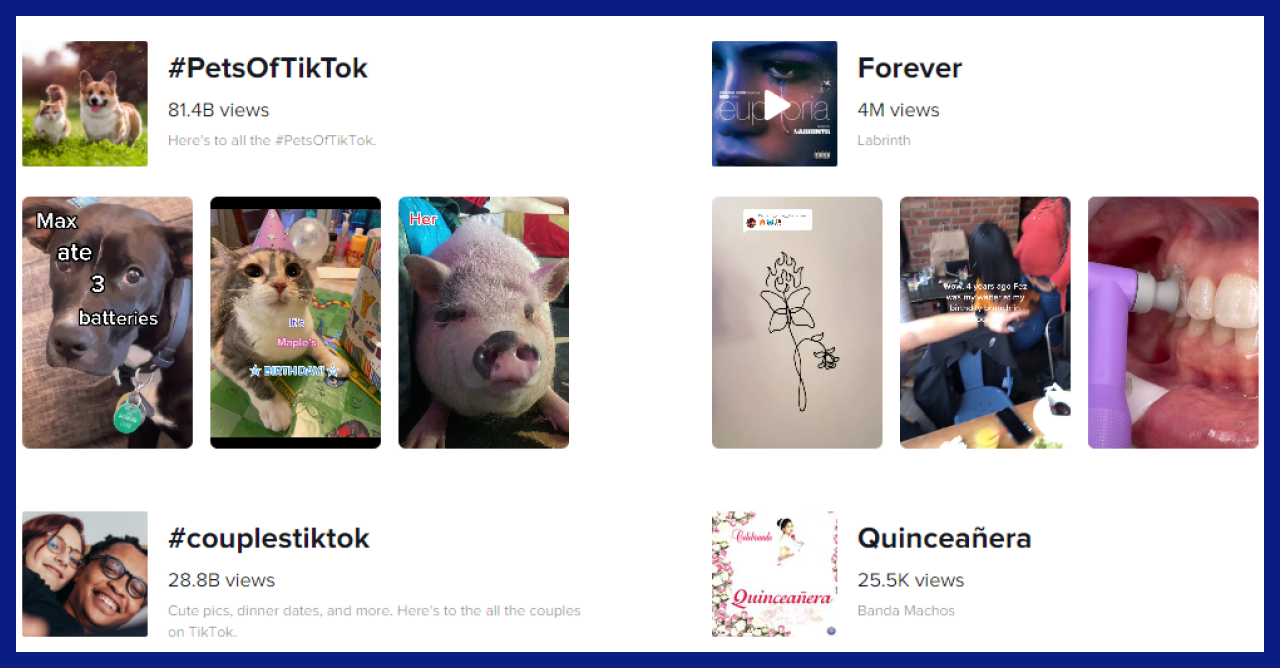 The screenshot shows the Discover page, the place where you can find all the TikTok trends