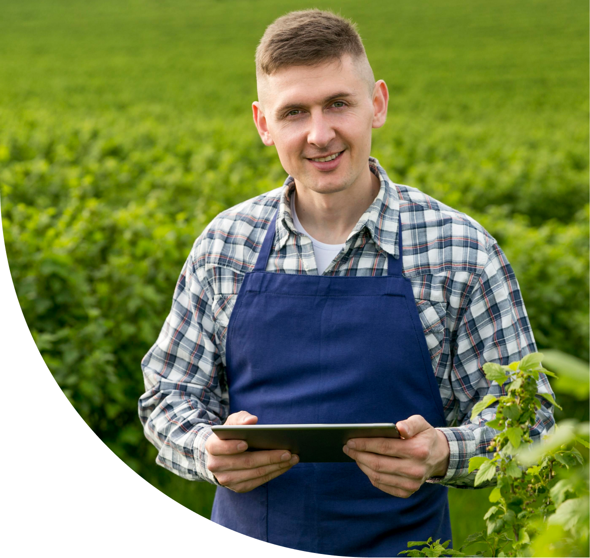 Farmer. Мужик фермер. Фермеры мужчины фотомодели. Фермер фото для детей. Мужик фермер картинки.