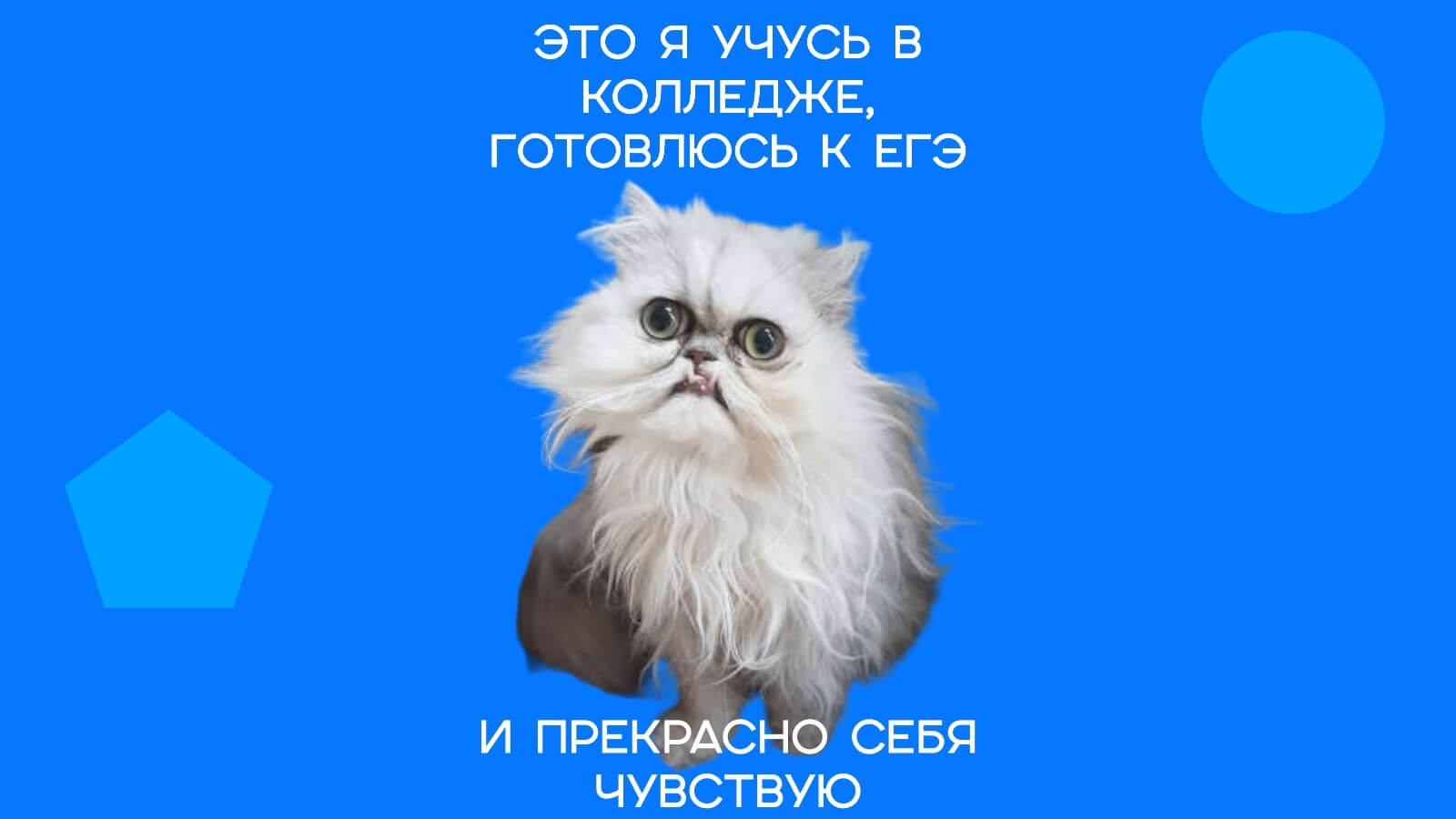 Можно ли после ренгено терапии коленых суставов посещать аквоаеробик. Замена коленного сустава: этапы операции, показания и подготовка Упражнения для коленных суставов - гимнастика Тотальное эндопротезирование коленного сустава с цементной фиксацией - фото