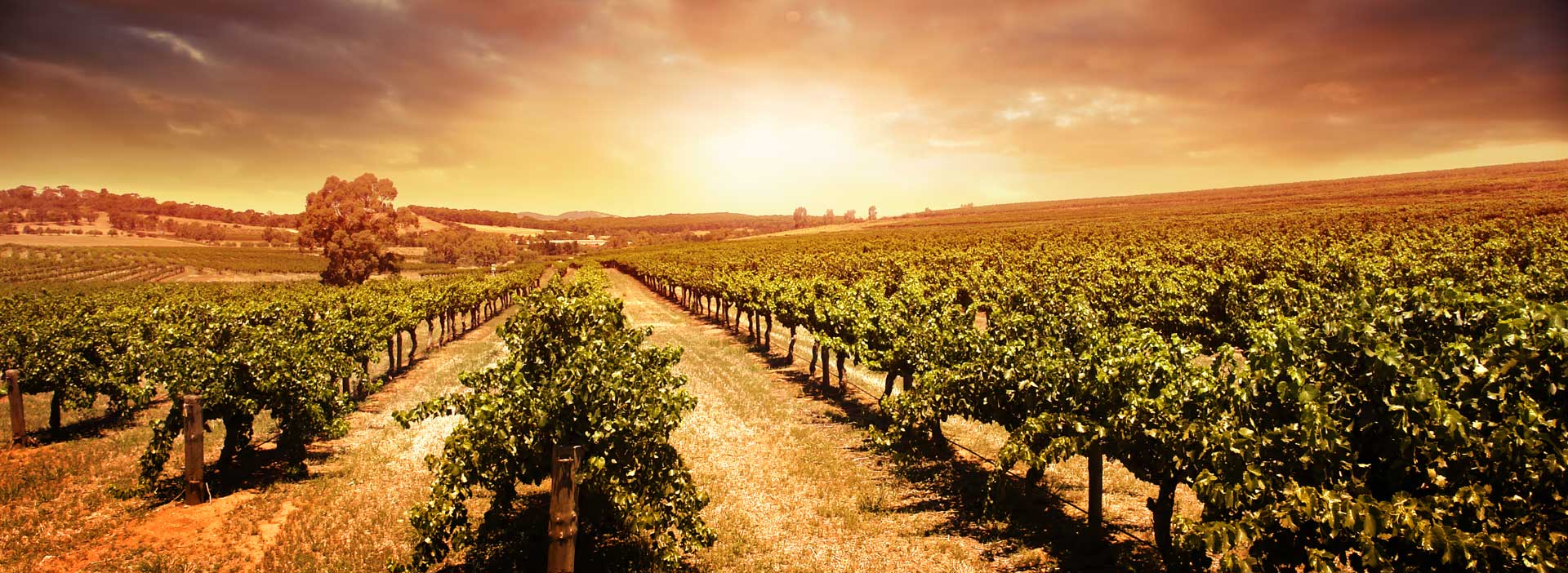 минарет хасана в городе рабат марокко