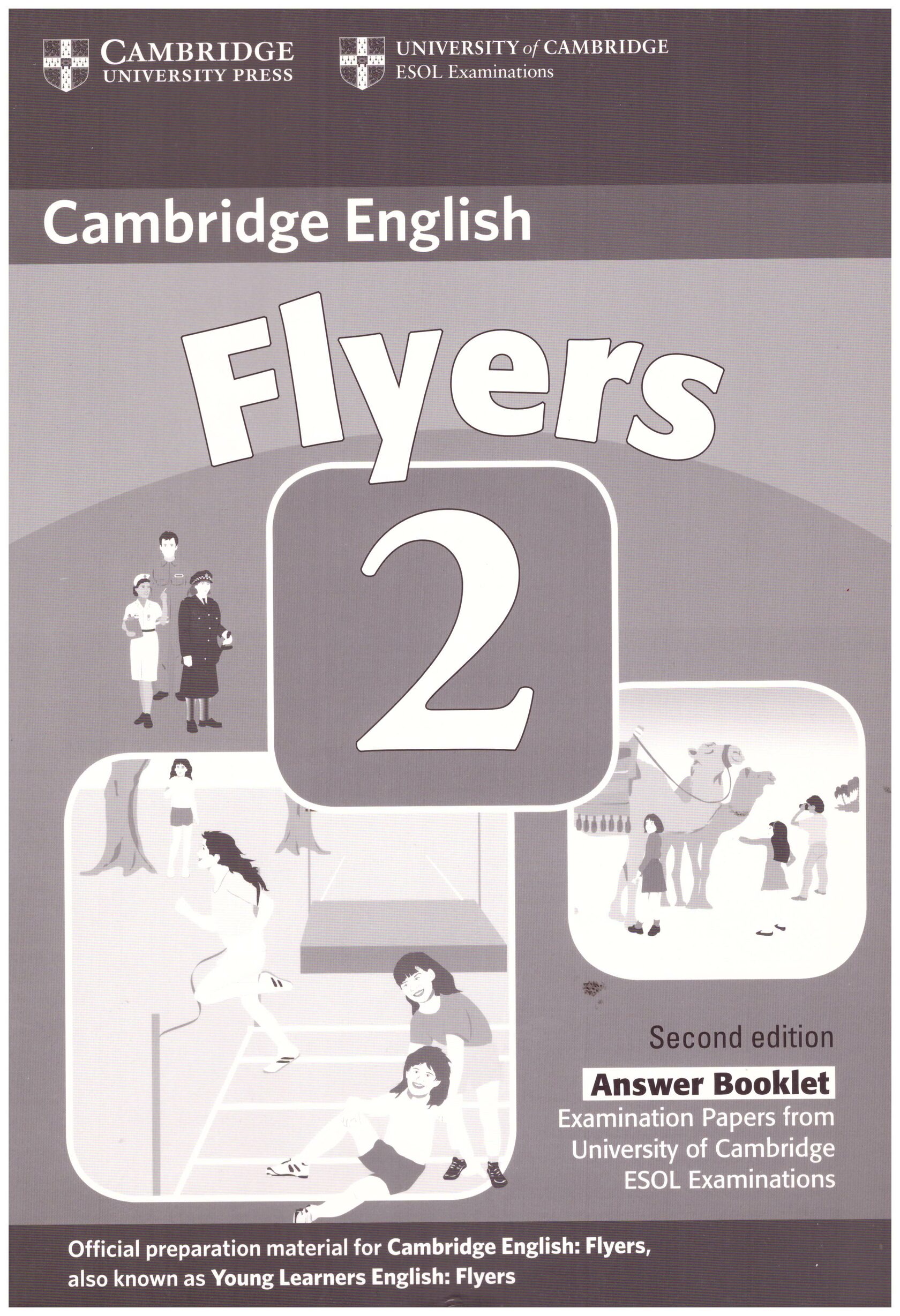 Описание картинки flyers