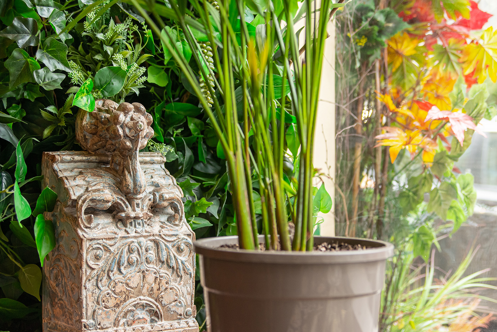 Ресторан Долма на Белинского