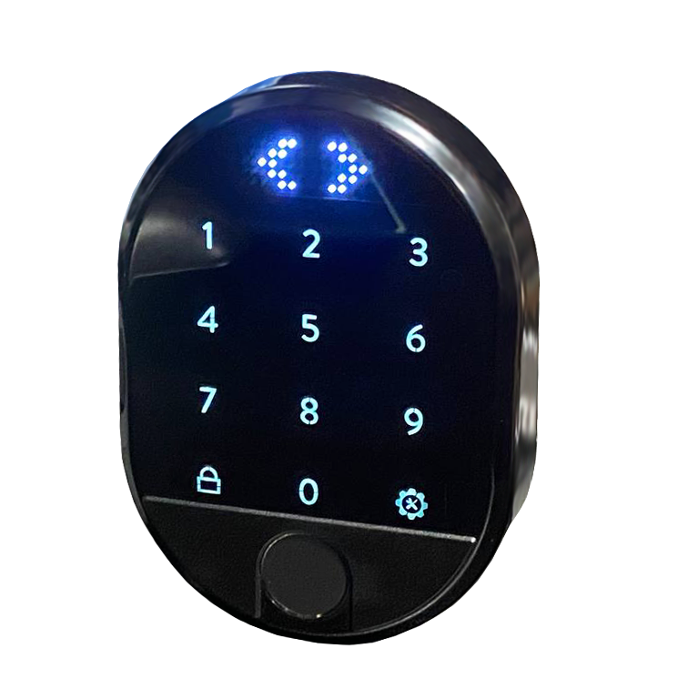 Биометрическая кодовая панель DESI