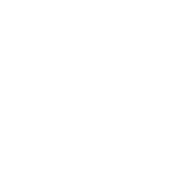 Портретная экспертиза