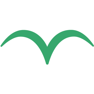 Aeroplant, озеленение интерьера, Юля Чайцына