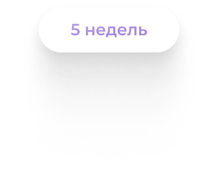 Бенто торт обучение онлайн