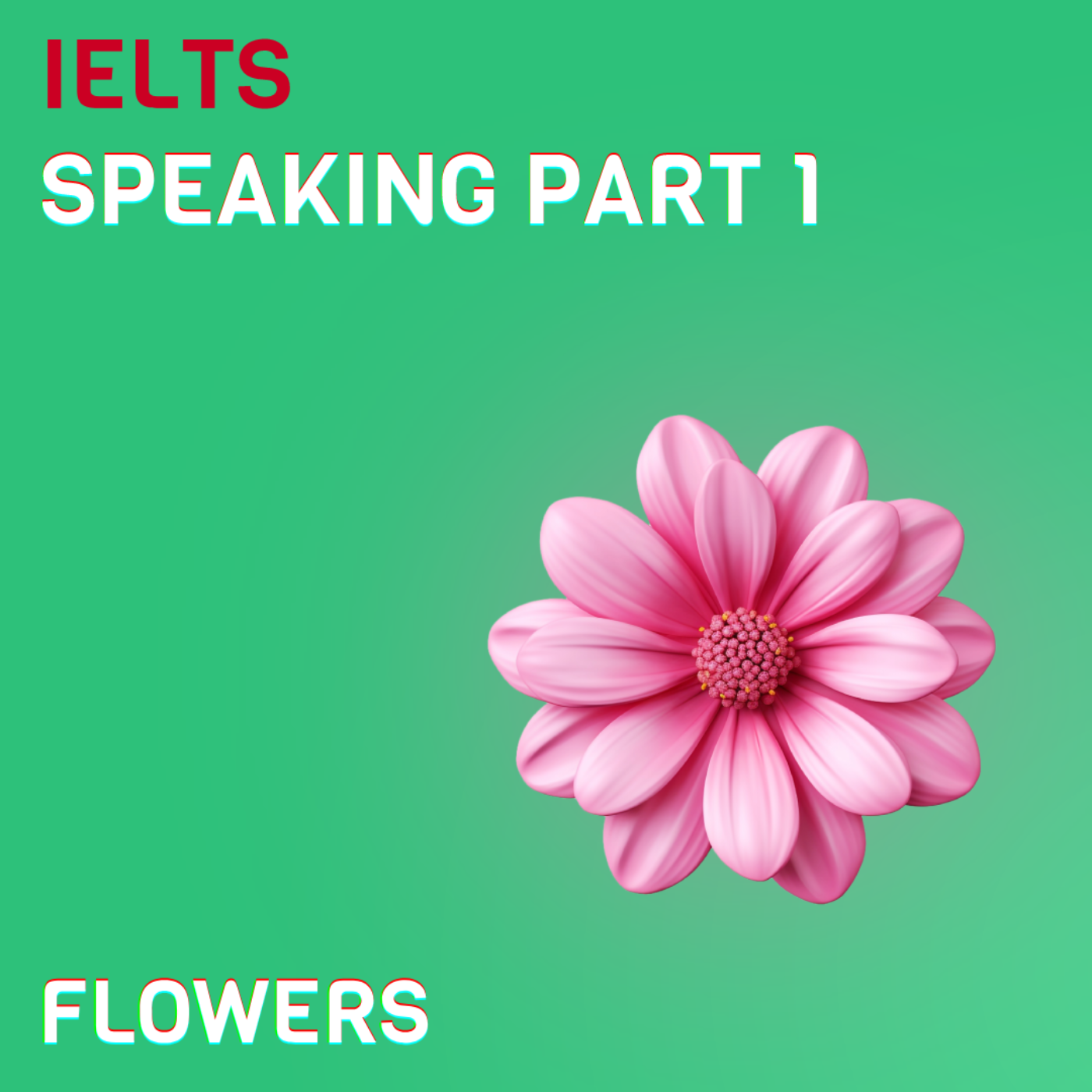 Flowers IELTS Speaking Part 1 2024 Answers and vocabulary