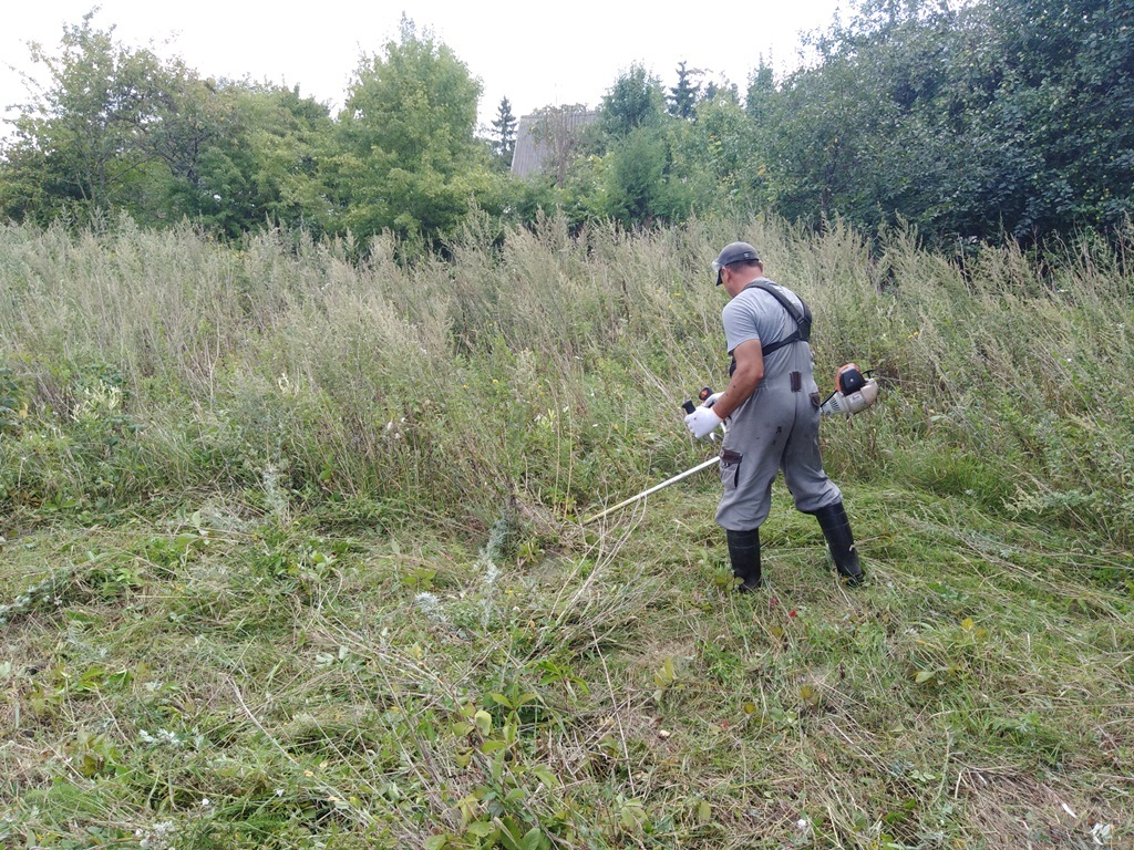 Покос травы на участке в Москве и Московской области. Цена в 2024 году ...