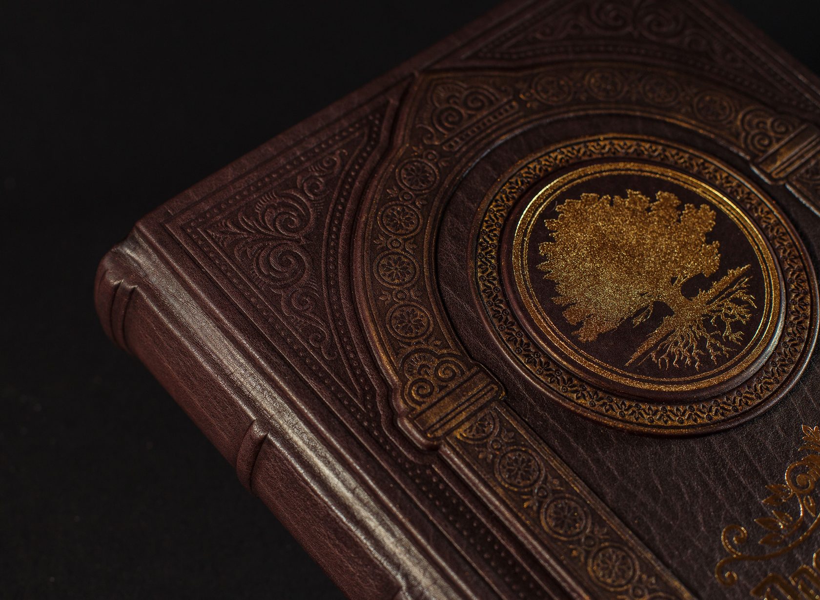 Парадная книга. Родословная книга Бекетова. Старинный семейный альбом переплёт. Обложка для книги парадная. Родословная книга Бекетов по номеру