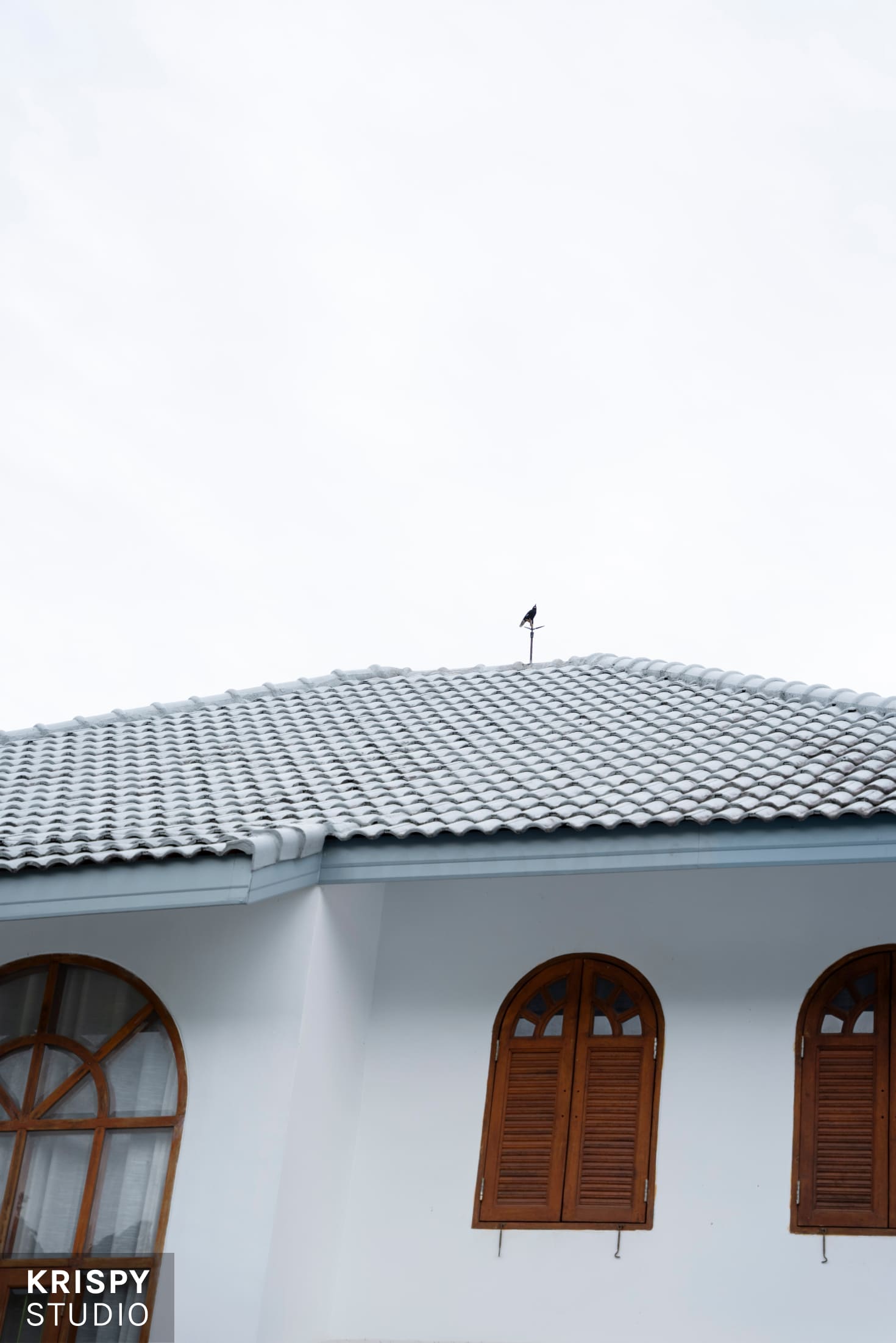 Женский променад на вилле, выездная фотосессия