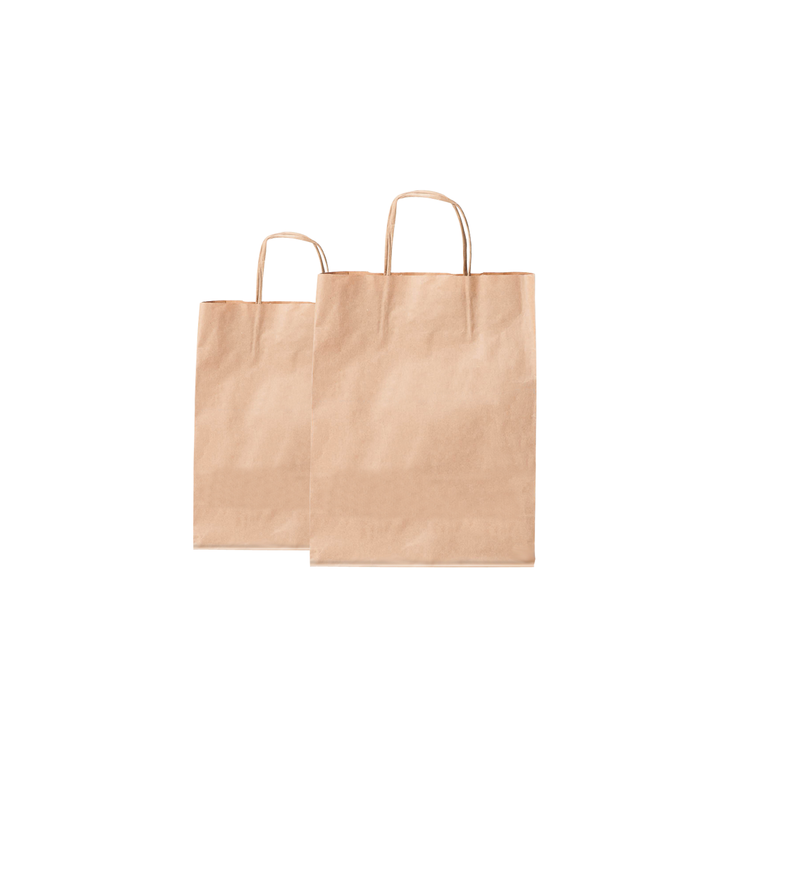 eco paper mailing bolsas