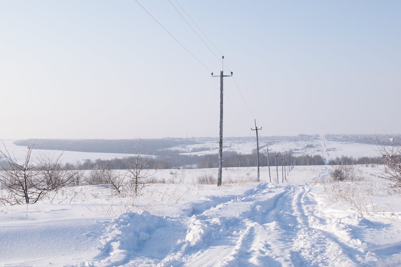 Сосновый солонец карта