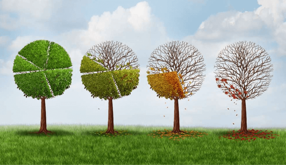 времена года