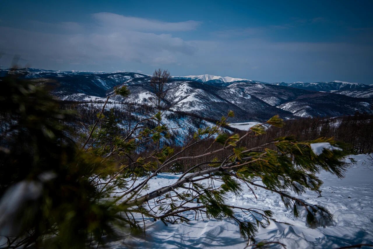 ГК "Холдоми" — photo 7