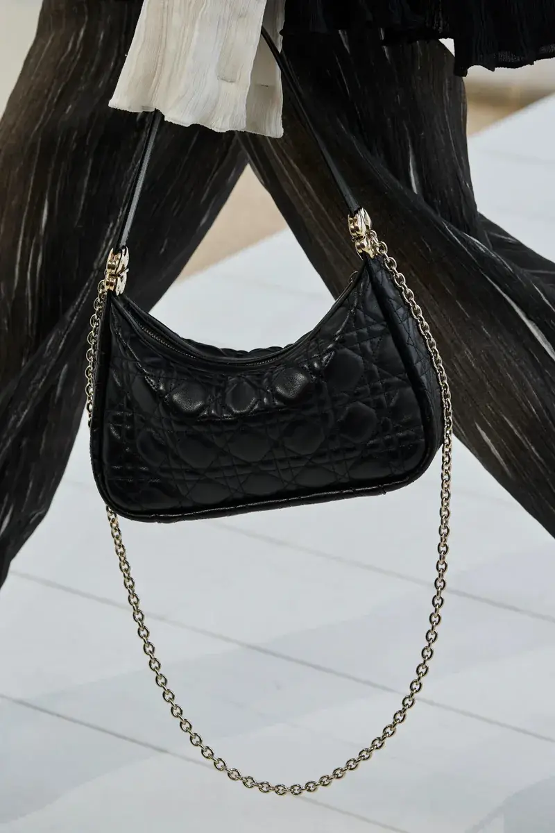 Сумки Dior Spring 2027 43