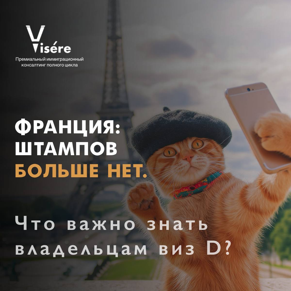 Процесс прохождения биометрического контроля EES на границе Франции для владельцев виз D
