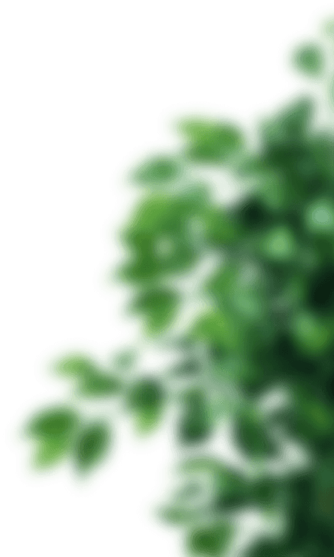 Безопасное вытяжение позвоночника - мат Детензор для лечения и вытяжения