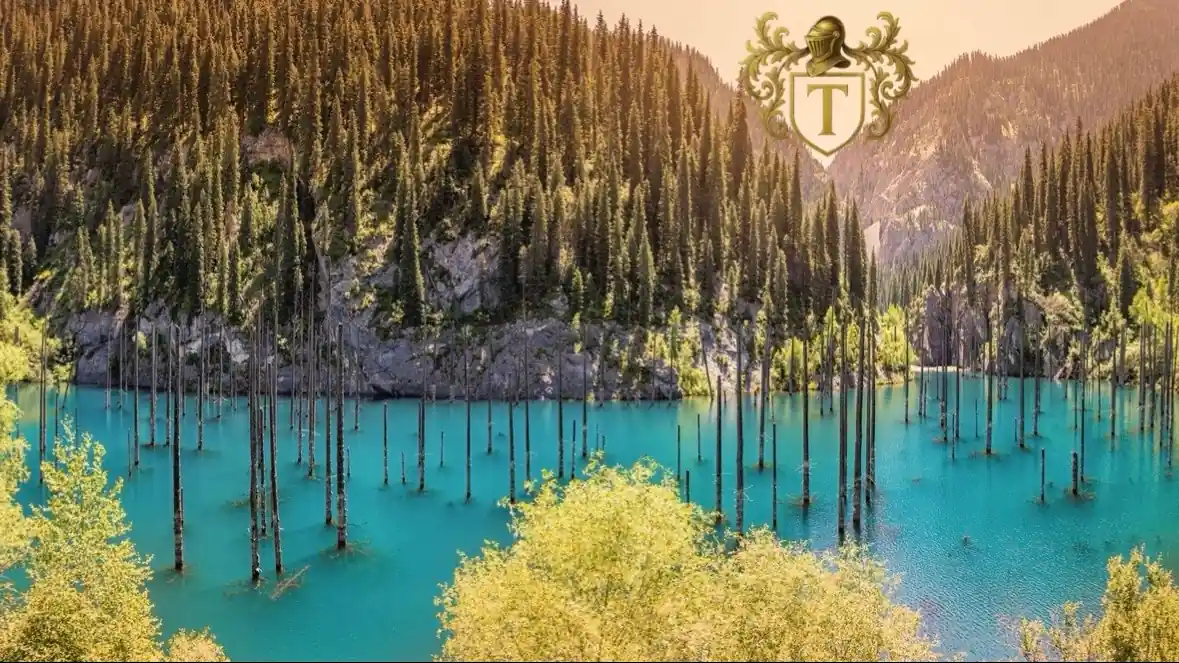 озеро Каинды затопленный лес Казахстан