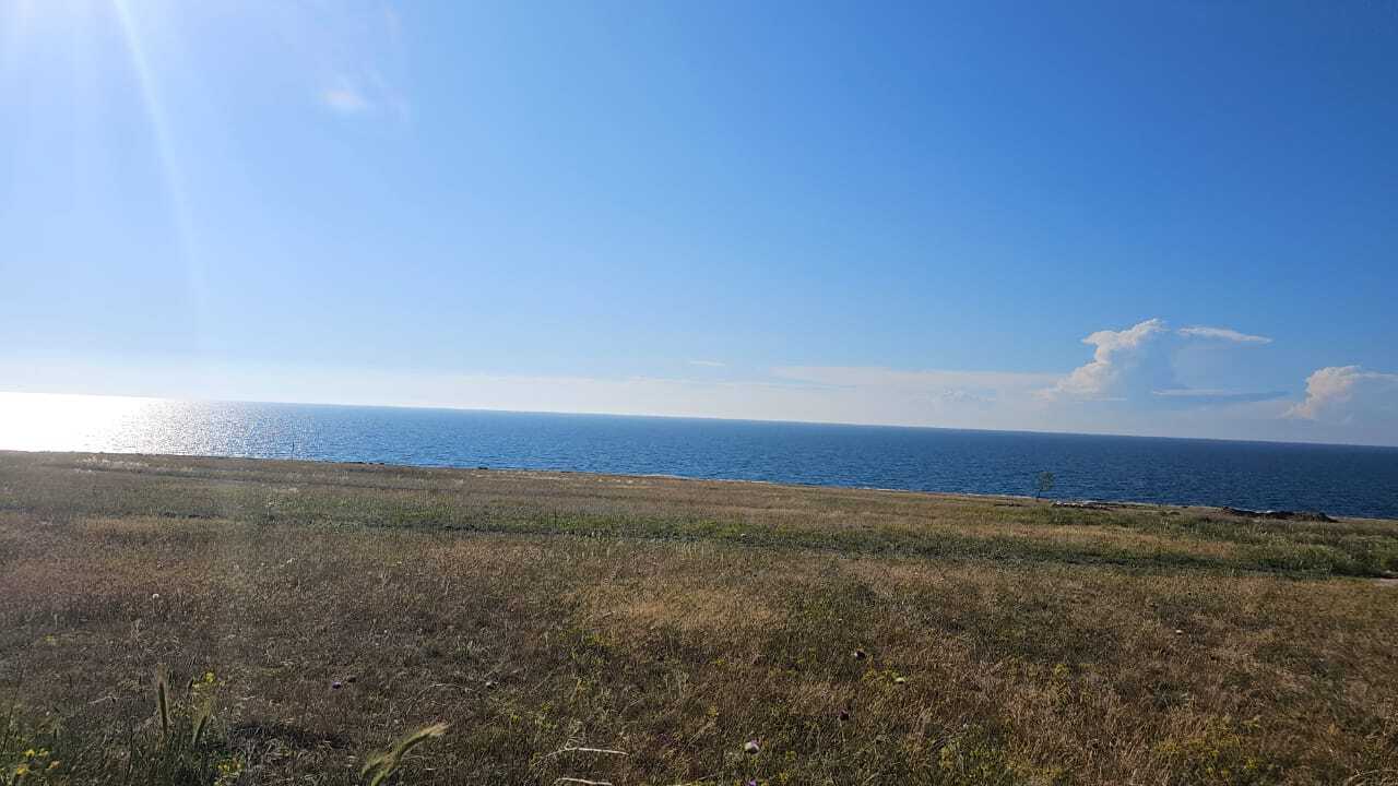 вин на участок в Крыму