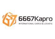6667 Cargo
