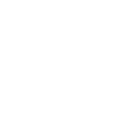 Финансово-аналитическая экспертиза