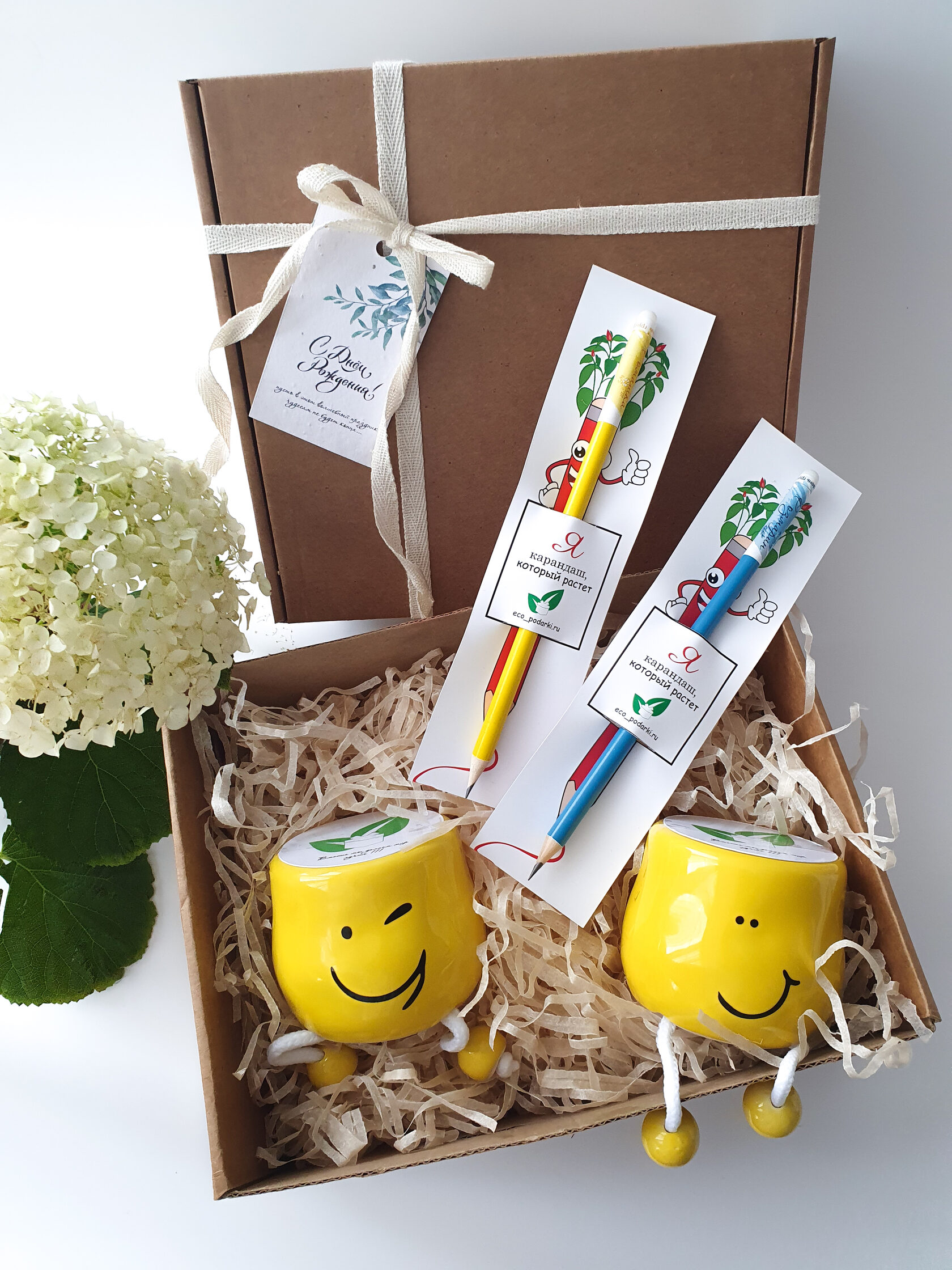 Эко подарки на день учителя! Подари своему учителю необычный подарок ...