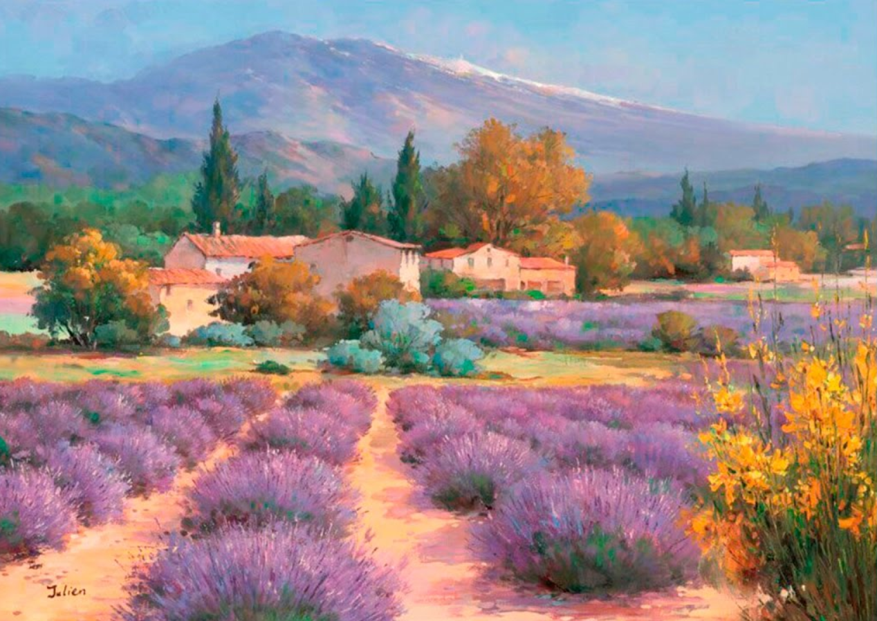 Лавандовое поле