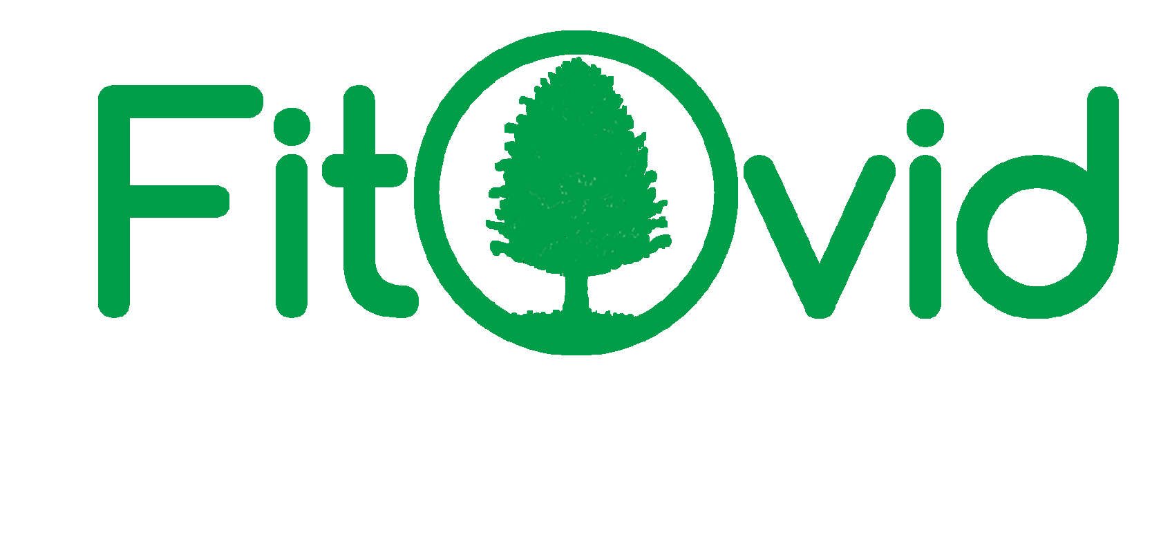 Сибирский кедр