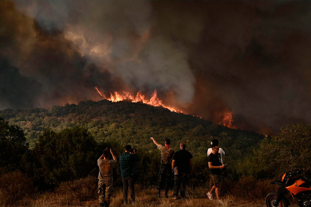 Лесные пожары в Греции