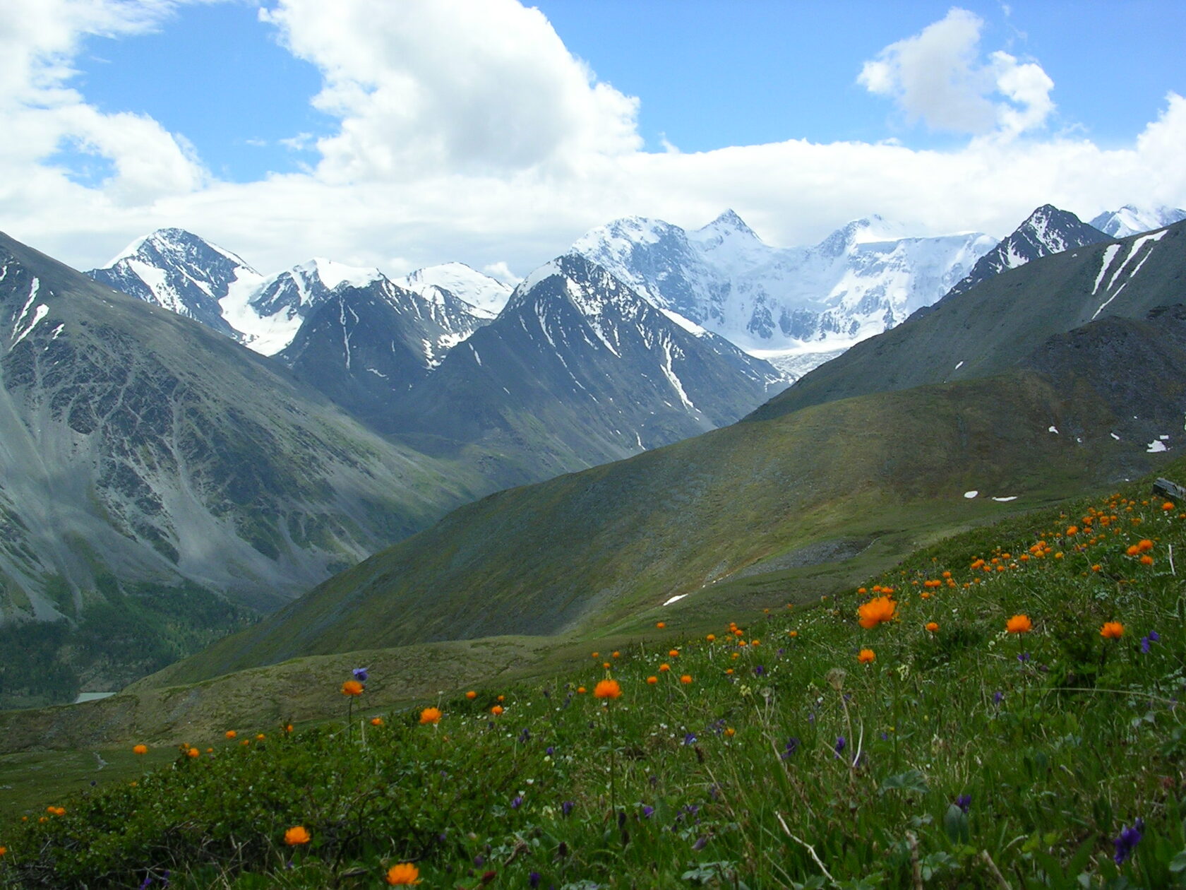 Кара Тюрек горный Алтай