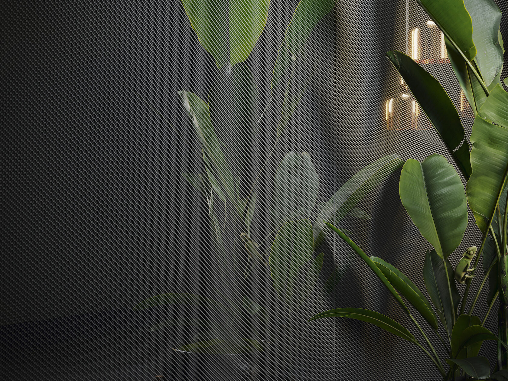 CARBON