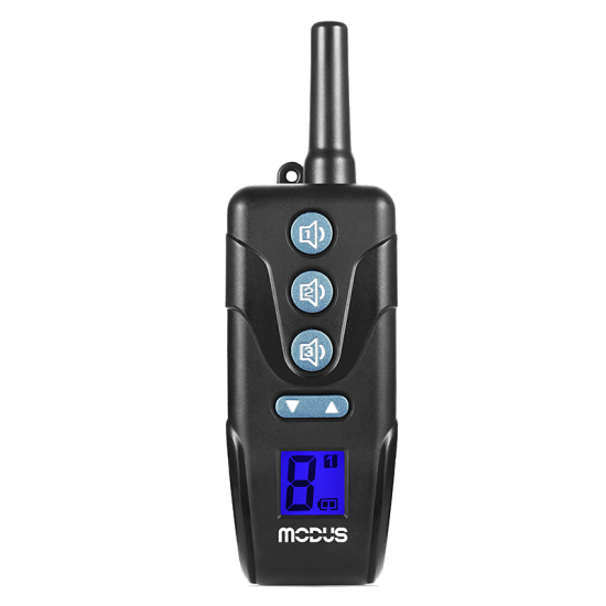 Электронный ошейник с радиоуправлением для контроля и дрессировки собак modus