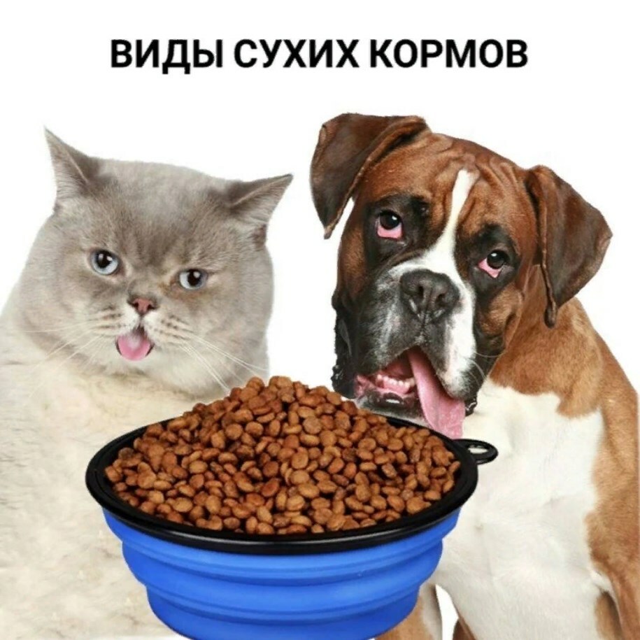 Кормить ли кошку кормом. Корм для животных. Корм для собак. Животные с кормом. Питание собак.