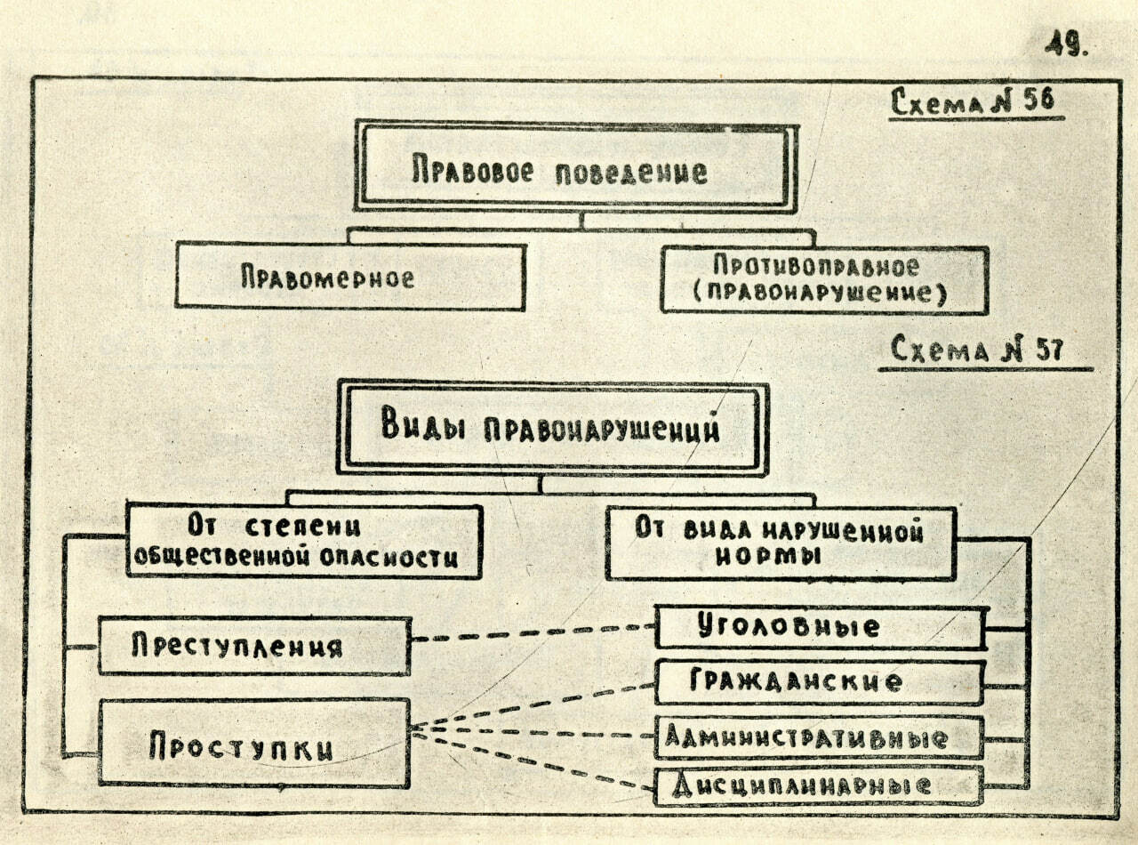 Теория государства и права в схемах