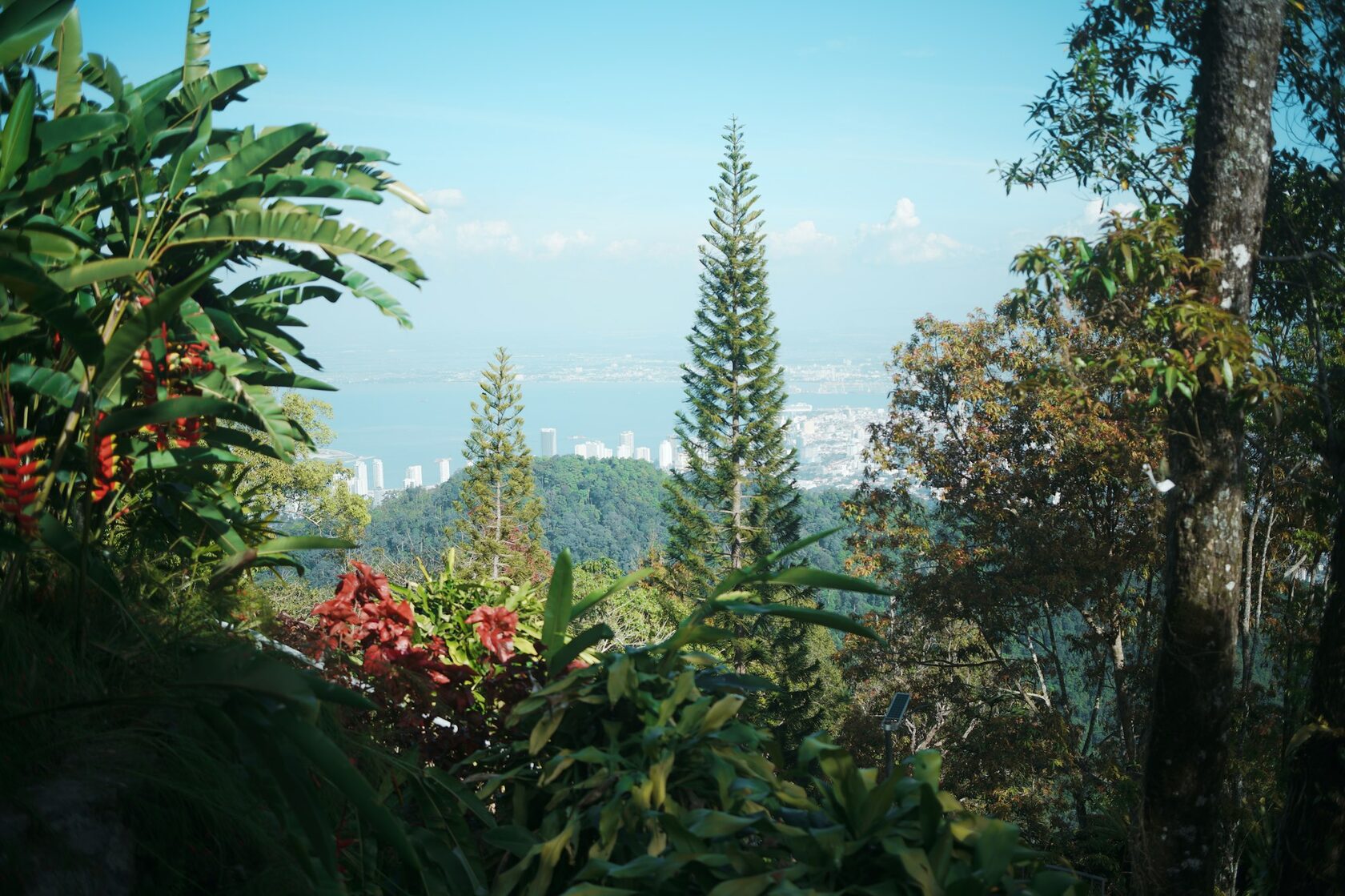 Panoramic Bukit view from the restaurant