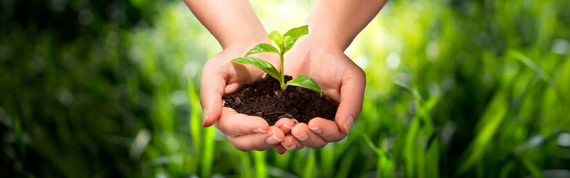 окружающая среда защита