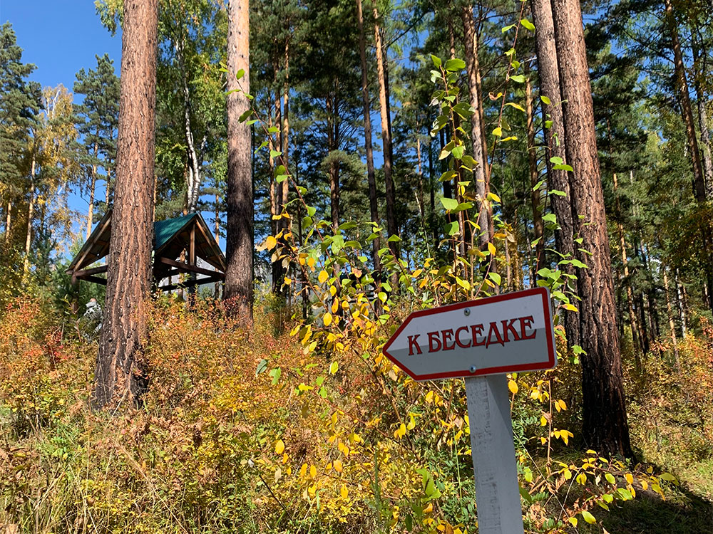 Отель корона аршан. Пансионат кедр в аршане. Отель корона аршан фото. Корона аршана. Гостиница туяна аршан.